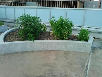 社会福祉法人まごころ10