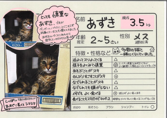 よもぎ