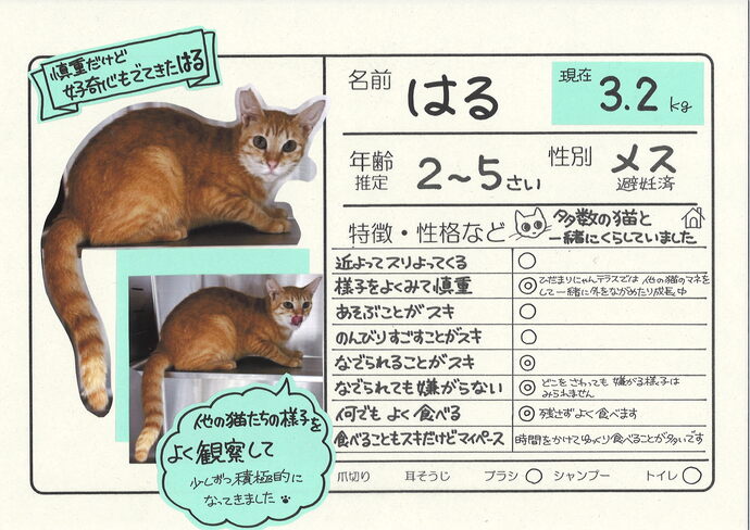 はる