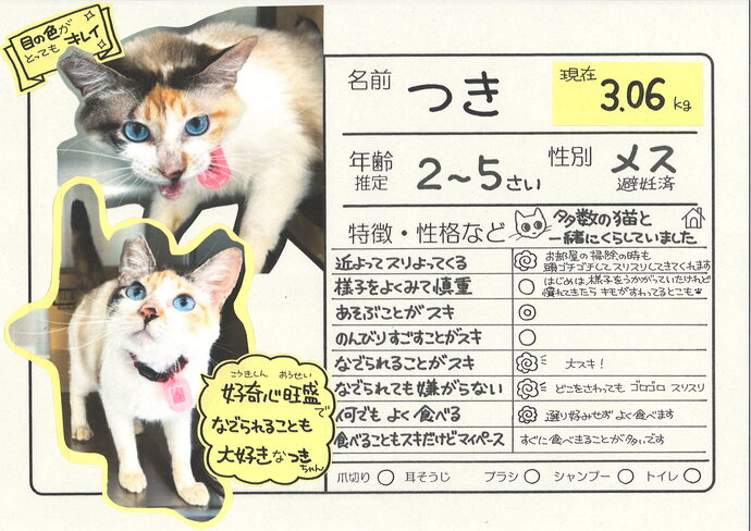 つき