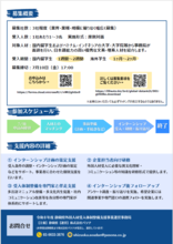 チラシ裏