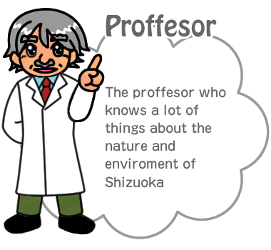 Proffesor