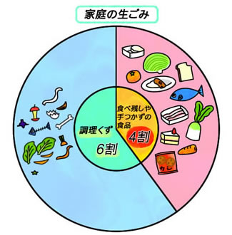 kateinonamagomi