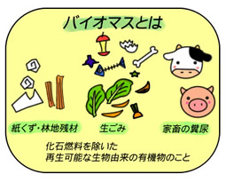 biomass