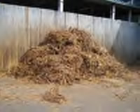 biomass