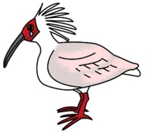 Toki