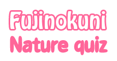 Fujinokuni Nature Quiz