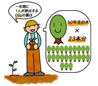 森林の二酸化炭素吸収