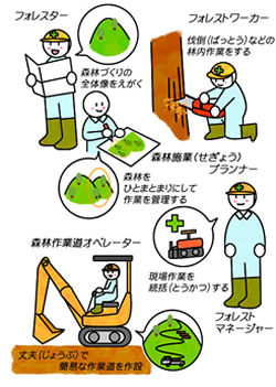 森林専門の技術者
