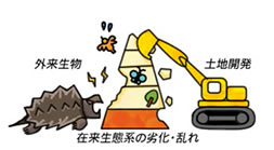在来生態系の劣化・乱れ