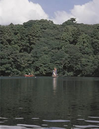 桜ヶ池の写真