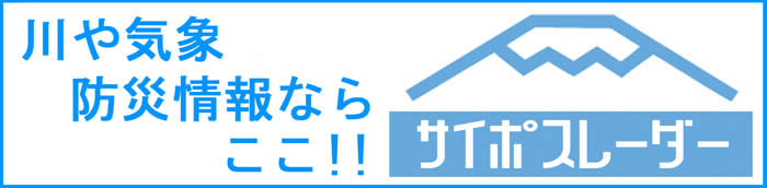 �C�ہE�h�Џ���񋟁u�T�C�|�X���[�_�[�v