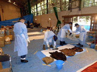 写真:現地で検視の作業をする人々