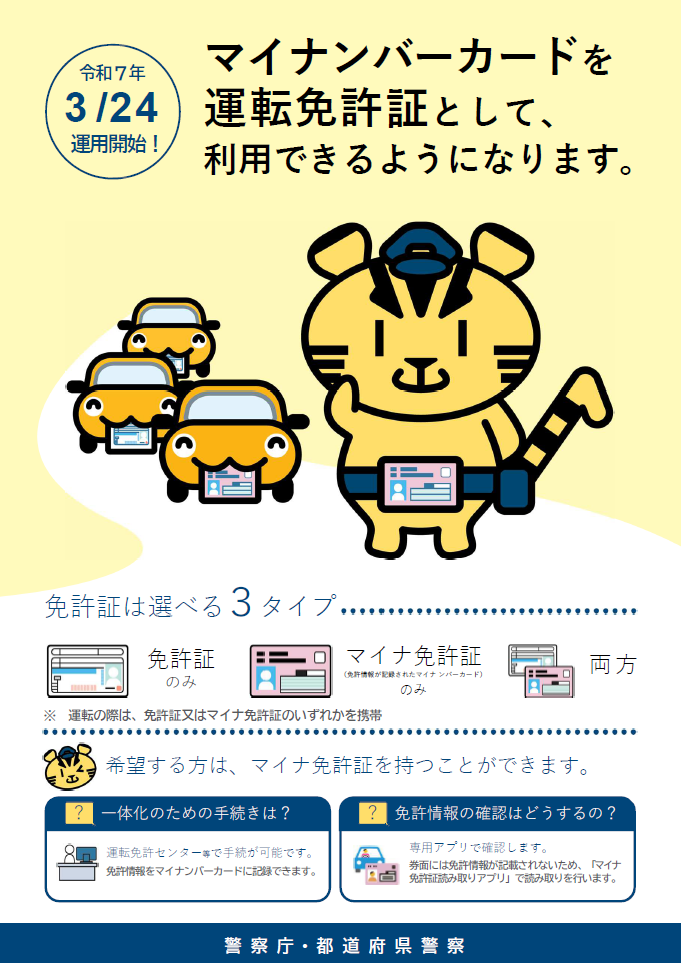 チラシ：マイナンバーカードを運転免許証として利用できるようになります。