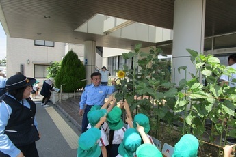 写真：開花した暇輪を見上げる園児たち