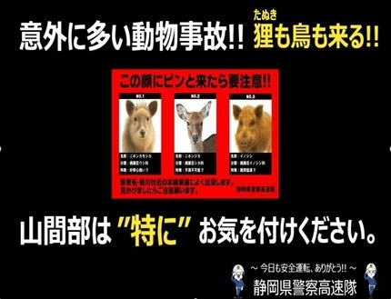 恐怖!!野生動物