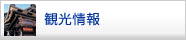 観光情報