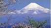 223ch　富士山チャンネル