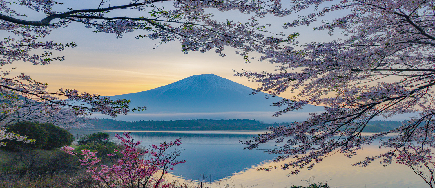 冬の夜景と富士山の写真