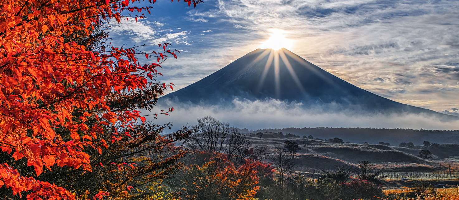 富士山の写真