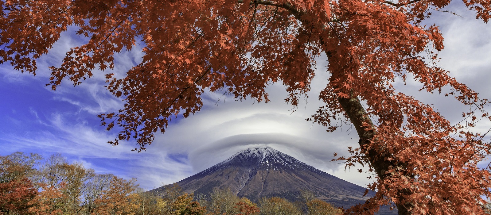 富士山の写真