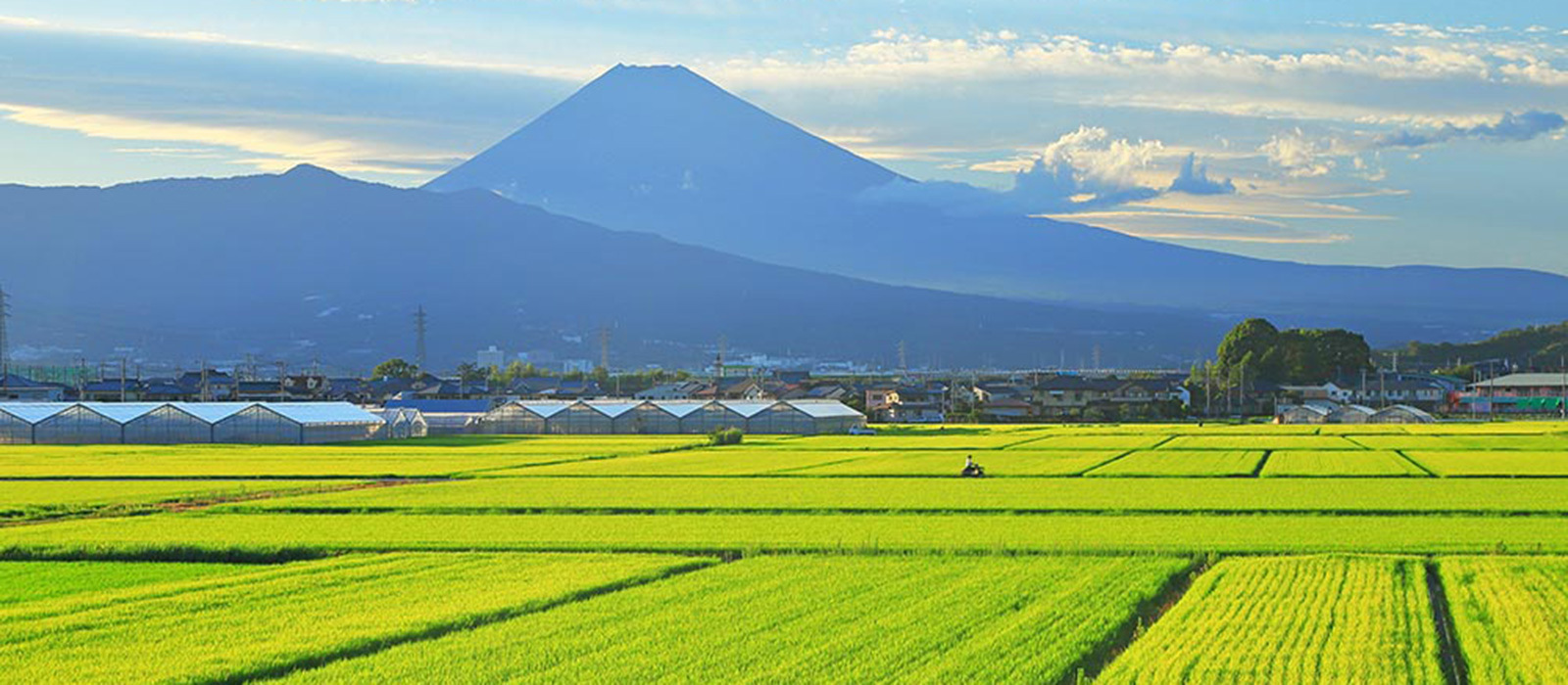 富士山の写真