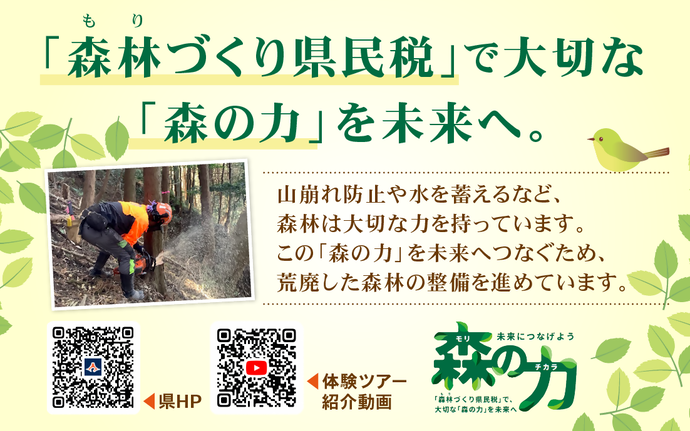 森の力再生事業の説明画像