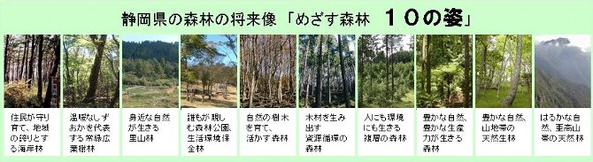 写真：富国有徳の森林づくり　静岡県の森林将来像「めざす森林 10の姿」