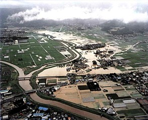写真：田方平野の農地の浸水状況（函南町・伊豆の国市）