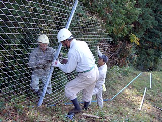 写真:鳥獣害防止柵の直営施工中山間天城地区(伊豆市)