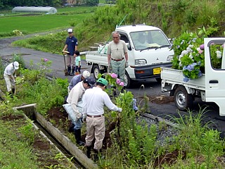 写真:地域住民によるあじさいの植栽中山間足柄地区(小山町)