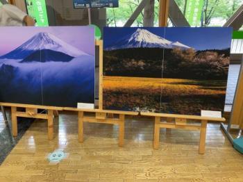 写真：富士山展2
