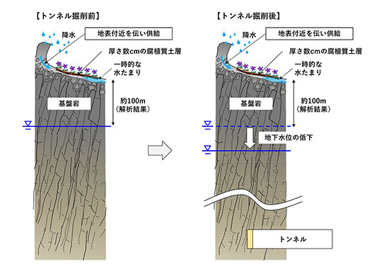 イラスト:地下水位とトンネル掘削による変化