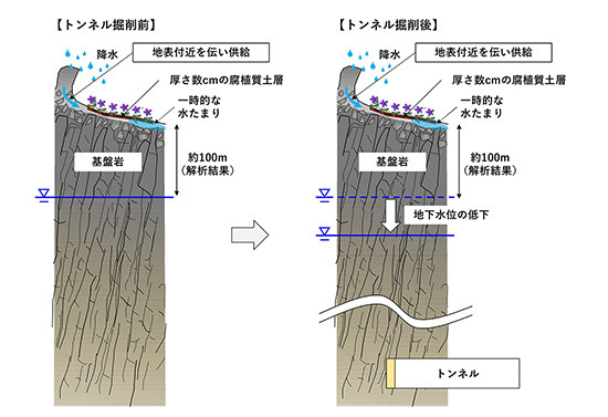 イラスト：地下水位とトンネル掘削による変化