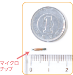 写真：マイクロチップの大きさ（1円玉と比較）