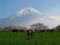 アイコン：静岡県富士農林事務所