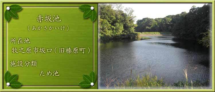 写真：赤坂池（あかさかいけ）所在地：牧之原市坂口（旧榛原町） 施設分類：ため池