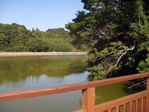 写真:全景(桟橋から対岸方向)
