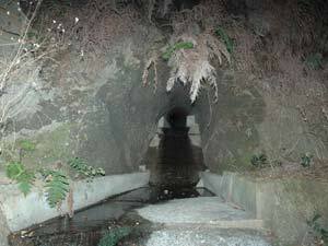 写真：水路トンネル吐口付近（下流より上流を望む）