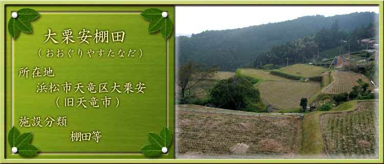 写真：大栗安棚田（おおぐりやすたなだ）所在地：浜松市天竜区大栗安（旧天竜市）施設分類：棚田等