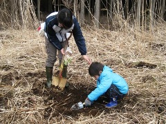 写真：坪刈り作業3