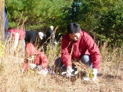 写真：ヤマザクラの植樹1