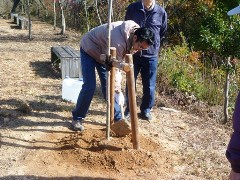 写真：12月12日活動の様子4