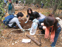 写真：4月4日活動の様子5