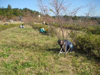 写真：11月21日活動の様子2