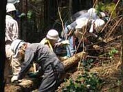 写真：5月17日活動の様子3