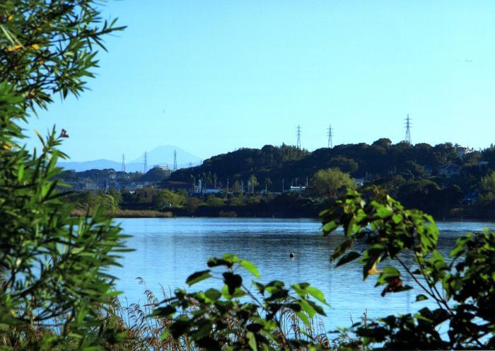 写真：佐鳴湖公園　時計台西側