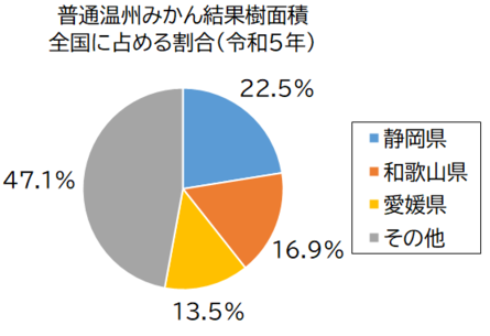 普通温州みかん結果樹面積