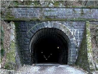 写真:天城山隧道
