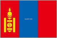 写真：モンゴルの旗